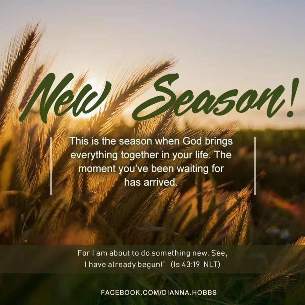 Meet your Posher, Cynthia